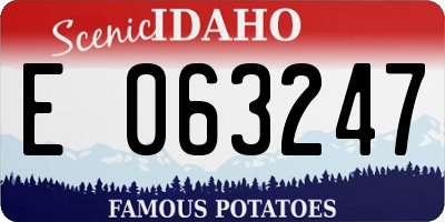 ID license plate E063247