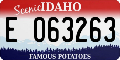 ID license plate E063263