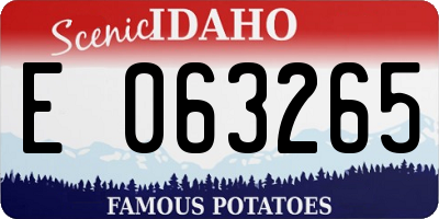 ID license plate E063265