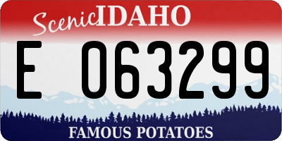 ID license plate E063299