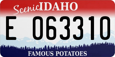 ID license plate E063310
