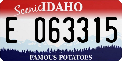 ID license plate E063315