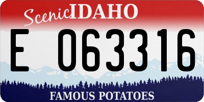 ID license plate E063316