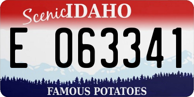 ID license plate E063341