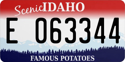 ID license plate E063344