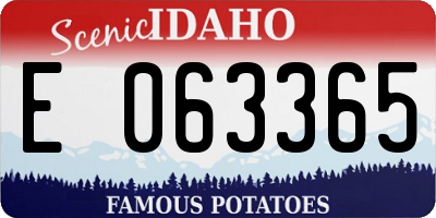 ID license plate E063365