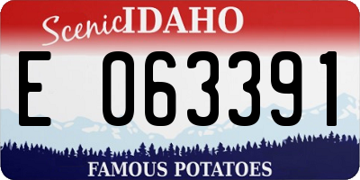 ID license plate E063391