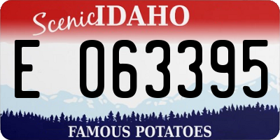 ID license plate E063395