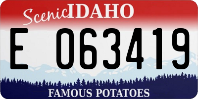ID license plate E063419
