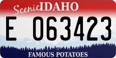 ID license plate E063423