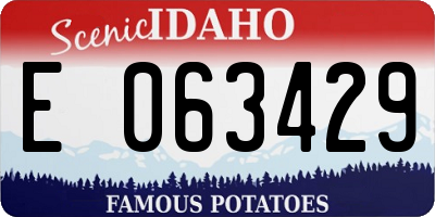 ID license plate E063429