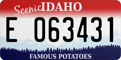 ID license plate E063431
