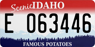 ID license plate E063446