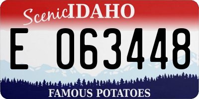 ID license plate E063448