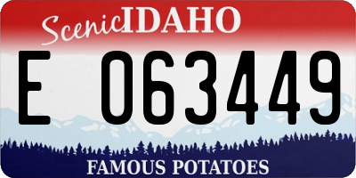 ID license plate E063449