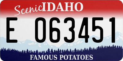 ID license plate E063451