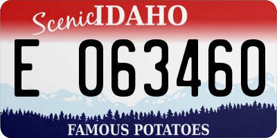 ID license plate E063460