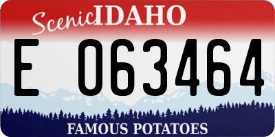 ID license plate E063464
