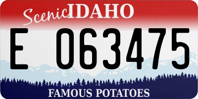 ID license plate E063475