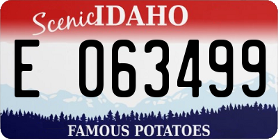 ID license plate E063499