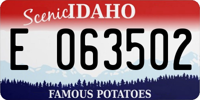 ID license plate E063502