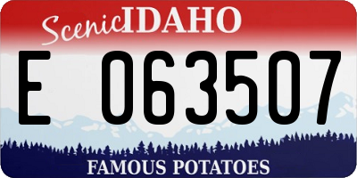 ID license plate E063507