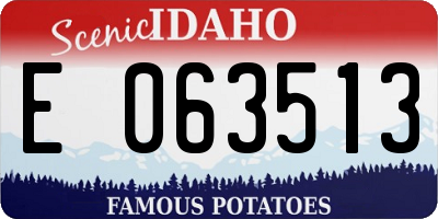 ID license plate E063513