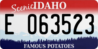 ID license plate E063523
