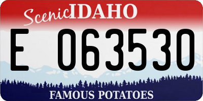 ID license plate E063530