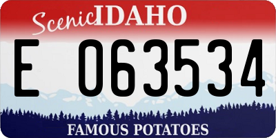 ID license plate E063534