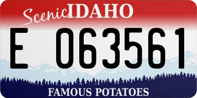ID license plate E063561