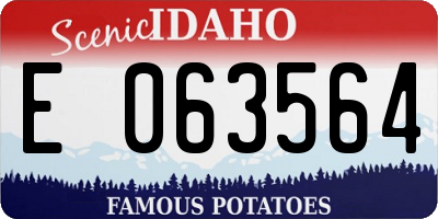 ID license plate E063564