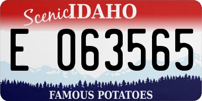 ID license plate E063565