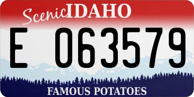 ID license plate E063579