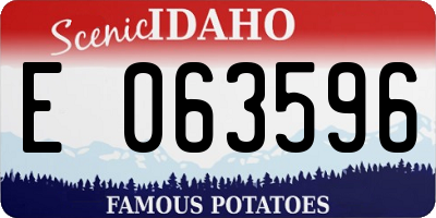 ID license plate E063596