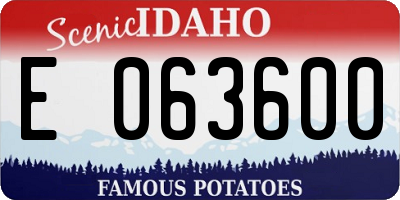 ID license plate E063600