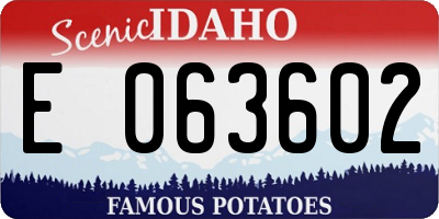 ID license plate E063602