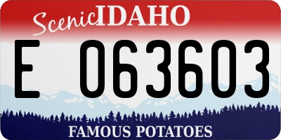 ID license plate E063603