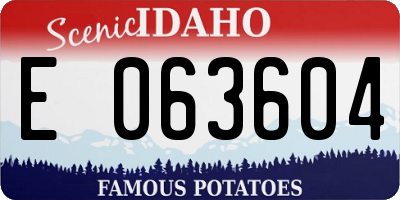 ID license plate E063604
