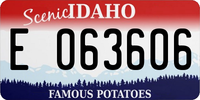 ID license plate E063606