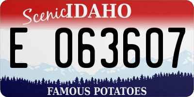 ID license plate E063607