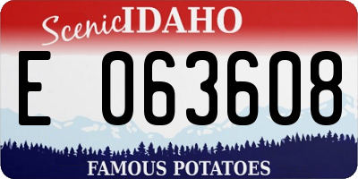 ID license plate E063608