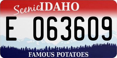 ID license plate E063609