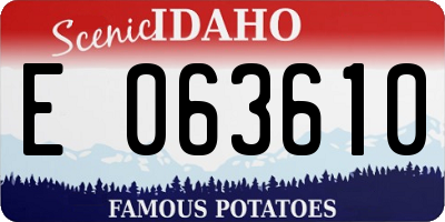 ID license plate E063610