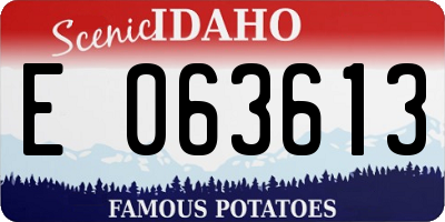 ID license plate E063613