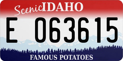 ID license plate E063615