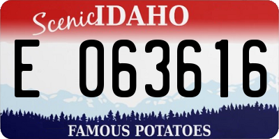 ID license plate E063616