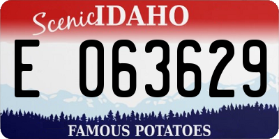ID license plate E063629