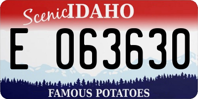 ID license plate E063630