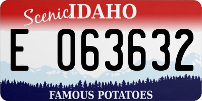 ID license plate E063632